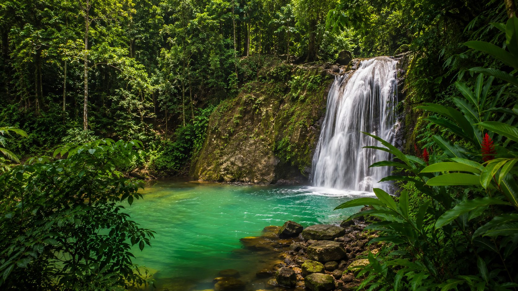 Rainforest waterfall falling into an emerald pool